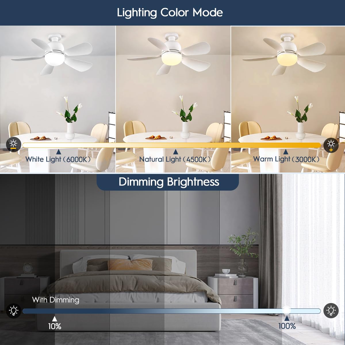 Socket Fan Light 19Inch, Dimmable Small Ceiling Fan with Light and Remote